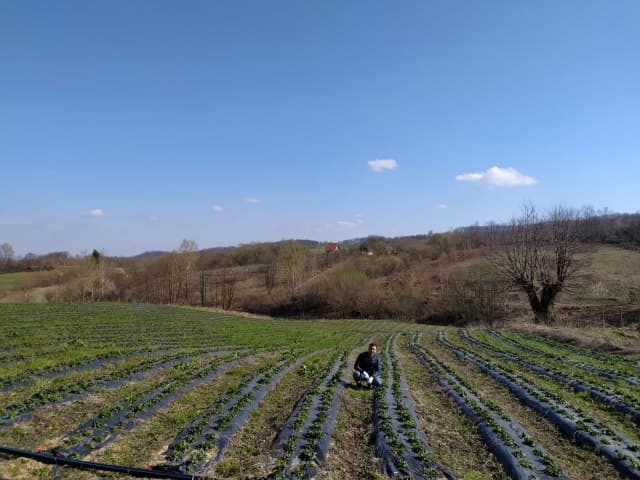 Najneobičnije seosko imanje: Gradska petorka se uspješno bavi poljoprivredom