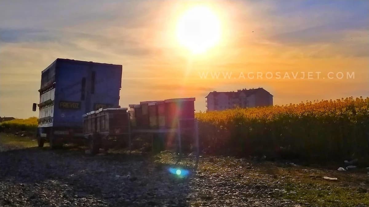 Postoji šanse da 2020. godina bude najtoplija u istoriji mjerenja