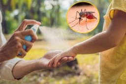 Prirodni lijek koji smanjuje svrab nakon uboda komarca