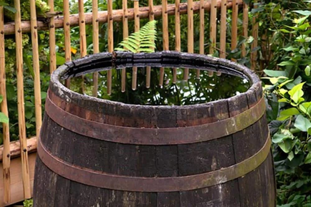 sakupljanje kišnice