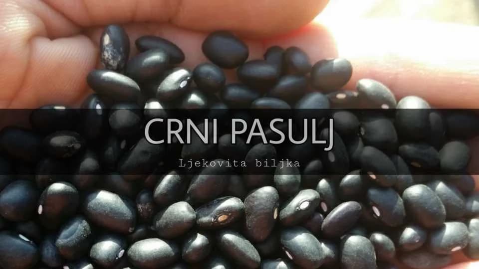 Crni pasulj - jedan od najzanimljvijih i najukusnijih vrsta pasulja