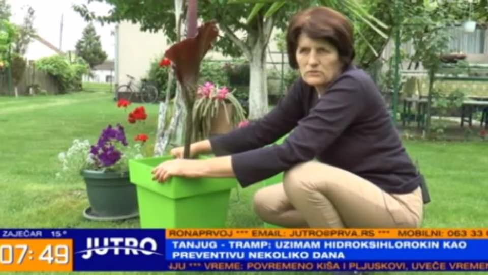 Sedam godina čekala je da procvjeta, a onda joj se miris trulog mesa raširio po dvorištu VIDEO