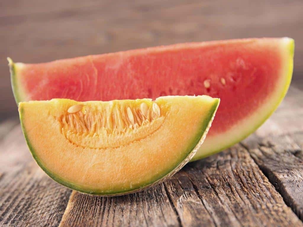 Korisni savjeti za bolji rod dinje i lubenice