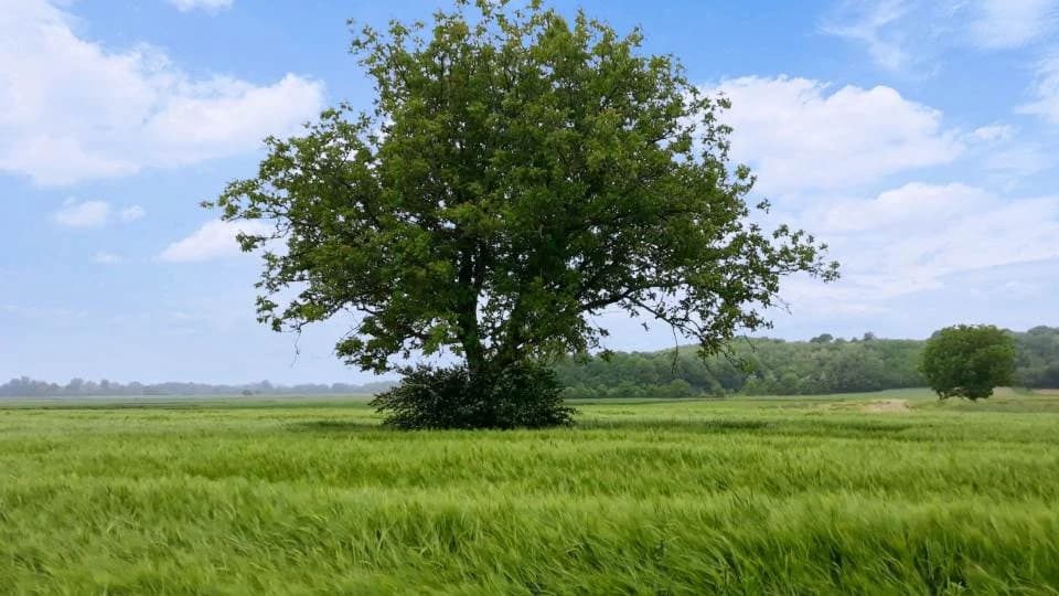 vremenska prognoza