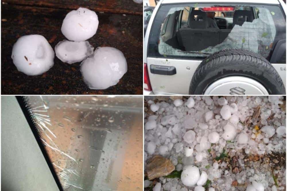 Grad veličine oraha: Totalna šteta malinjaka u Srbiji