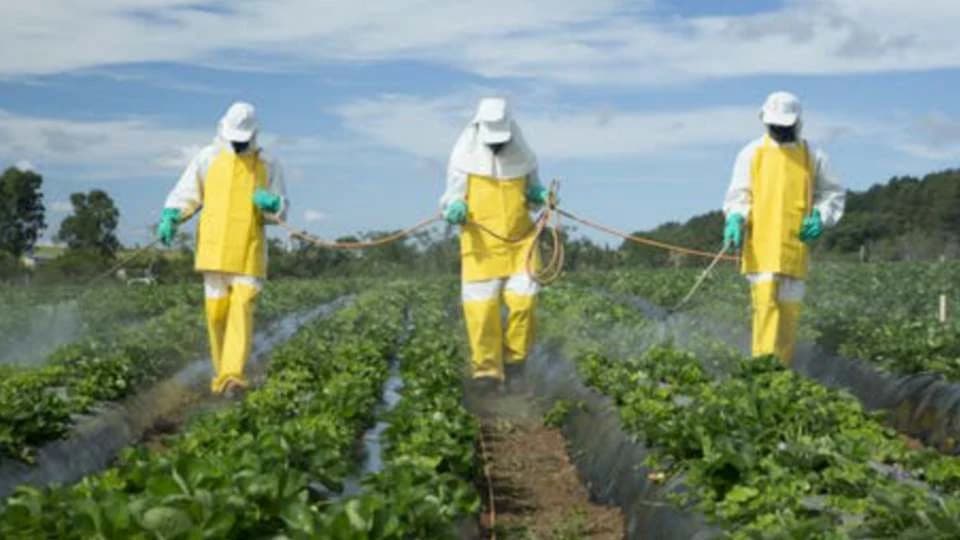 Insekticidi – opasnost za ljude i životnu sredinu