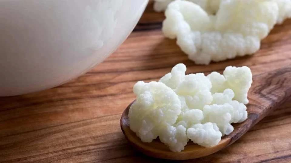 Šta je kefir, kako se pravi i kako konzumira?