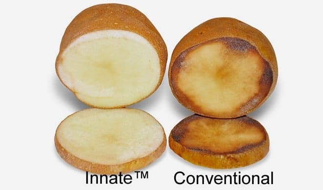 Pojavio se GMO krompir - Evo kako ga prepoznati!