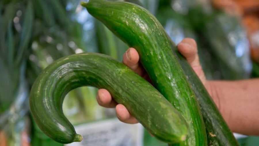 Razlog zašto se krive krastavci