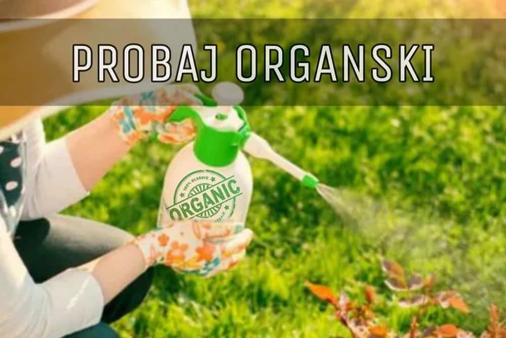 Top 20 PRIRODNIH peparata za ZAŠTITU biljaka od bolesti i štetočina