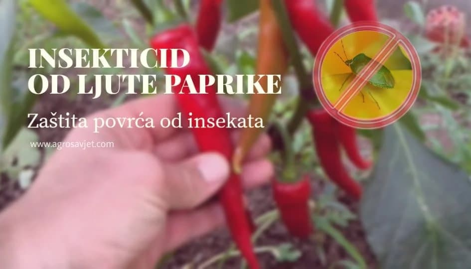 PRIRODNI INESKTICID
