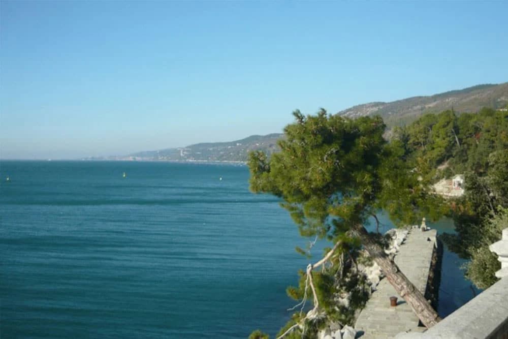 "Karfiol koji ujeda": Uočeno biće koje je ranije viđeno samo tri puta