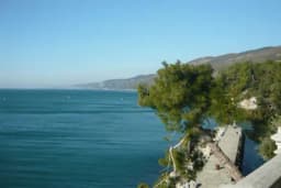 "Karfiol koji ujeda": Uočeno biće koje je ranije viđeno samo tri puta