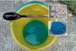 Bordovska čorba - Organska mješavina koja štiti biljke od mnogih bolesti