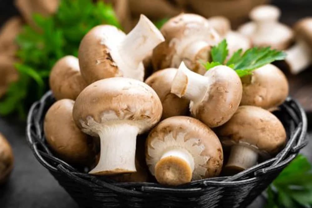 zašto su gljive zdrave