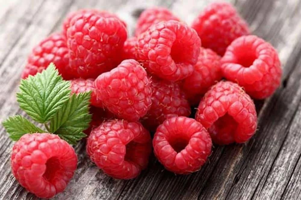 Malina – Lijek naših baka, ali i provjerenih farmaceutskih kuća