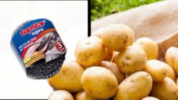 Evo kako da brzo i lako očistite mlade krompiriće