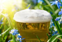 PIVO kao prihrana - Od njega cvijeće BUJA