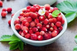 Evo zašto bi i kako trebalo jesti šumske jagode