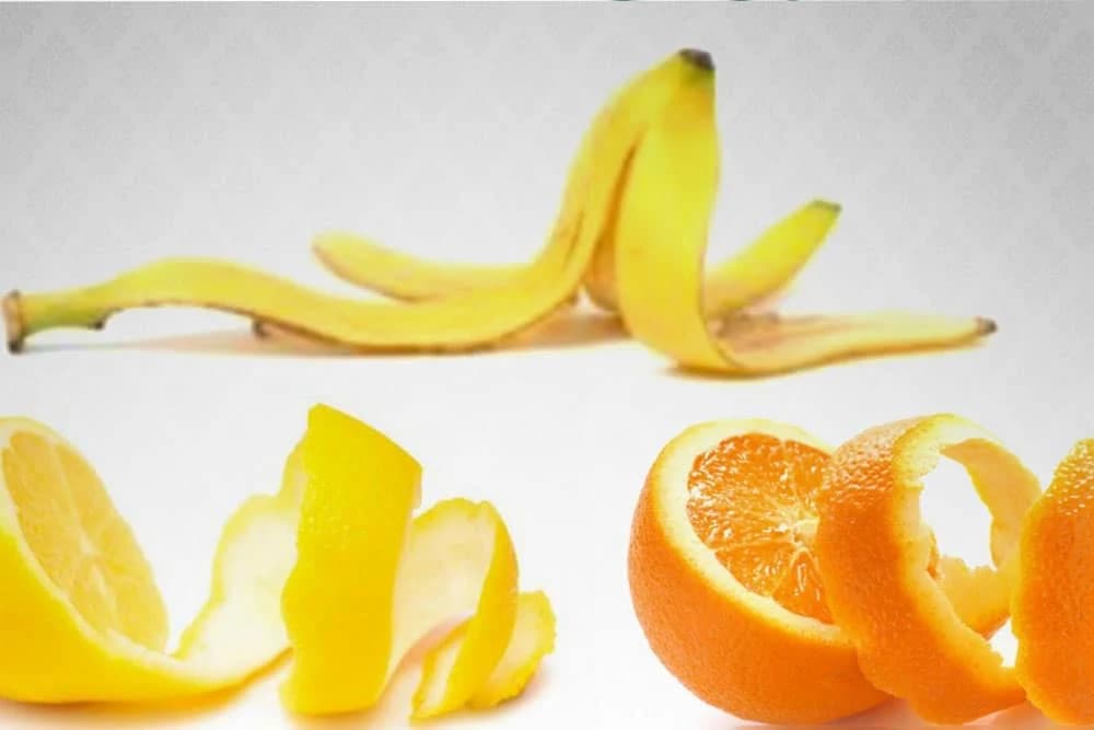 Višestruka korist od kore voća