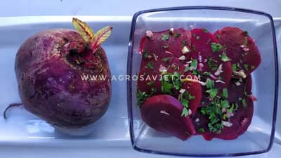 Najbolji recept za kiselu cveklu