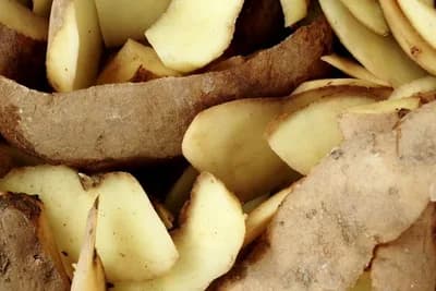 Zašto ne bi trebalo bacati koru krompira