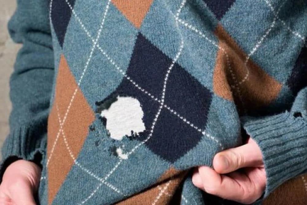 Ideje pomoću kojih možete zauvijek da se riješite moljaca