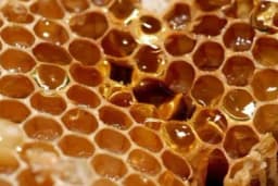 Kako da istopite vosak uz pomoć Sunčeve toplote