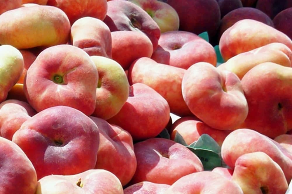 Pljosnata BRESKVA - Ukusnija i daje duplo više plodova od domaćih sorti!