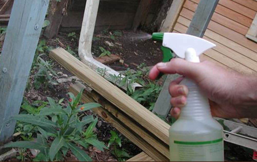 Sirće - Prirodni ubica korova i još 8 iznenađujućih načina za njegovu upotrebu