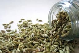 Savjeti za čuvanje sjemena