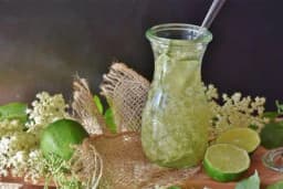 Domaći recepti za sok, džem, liker i pohovanu zovu