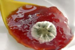 Da li griješimo: Koliko je sigurno skloniti buđ i pojesti ostatak hrane?