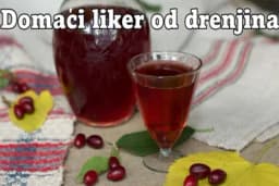 Recept za liker od drenjina sa rakijom – Upotreba i ljekovita svojstva drenjka