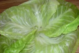 PRIJEKI LIJEK ZA PROŠIRENE VENE: Riješite težak zdravstveni problem na nevjerovatno lak i prirodan način