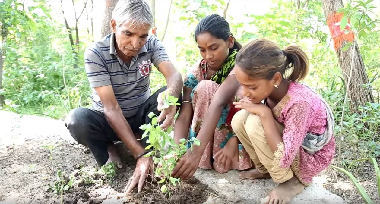 U ovom selu se posadi 111 stabala svaki put kada se rodi djevojčica