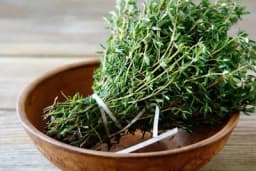 Ljekovito bilje koje bi trebalo da probate