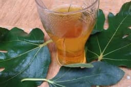 Recept za SIRUP od LISTOVA SMOKVE!