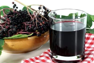 Sok od bobica zove – recept