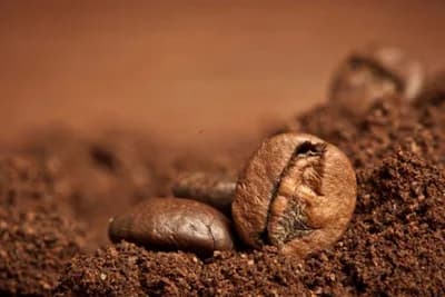 Evo šta se dešava kada prospete TALOG KAFE u baštu!