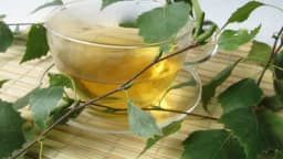 Čaj od breze – Protiv bubrežnog kamenca, reume, za pročišćavanje krvi i mnoge druge bolesti