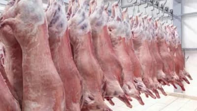 Stručnjaci iz Sarajeva i Hrvatske u projektu kreiranja inovatinih proizvoda od jagnjetine