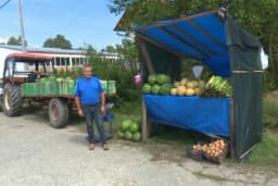 Rekordan urod povrća, kupaca ni za lijeka