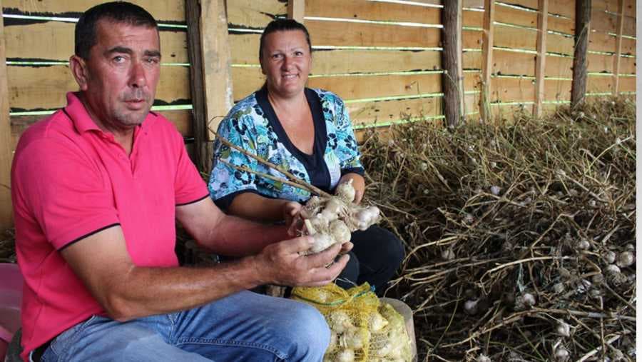 ZATRPANI TONAMA BIJELOG LUKA - Od korone se liječimo kineskim, a domaći nema ko da kupi