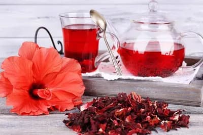 Ljekovita svojstva HIBISKUSA i recepti za ČAJ