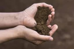 Ilovača tlo - Idealno za poljoprivrednu proizvodnju!