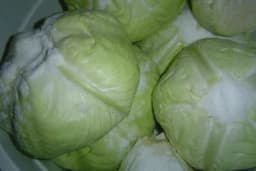 Ukiselite kupus po ovom provjerenom receptu