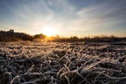 Mjere njege usjeva tokom jesenjih i zimskih mjeseci