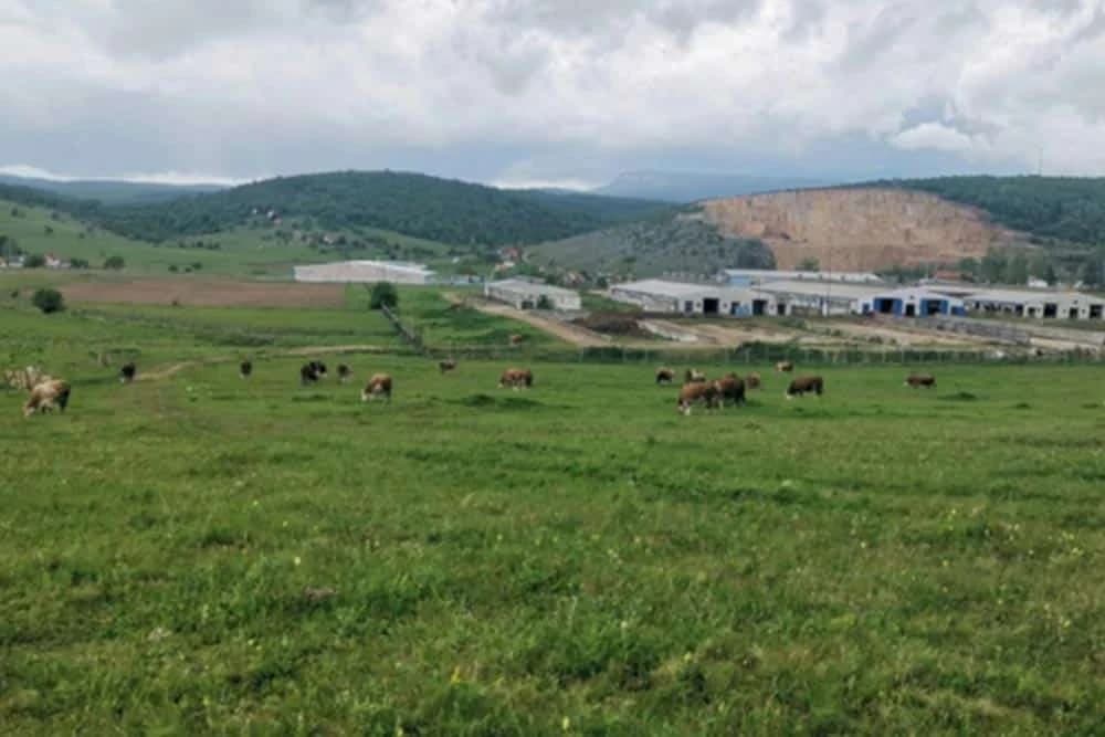 Obnovljena Farma krava Romanija oživljava stočarstvo ovog kraja