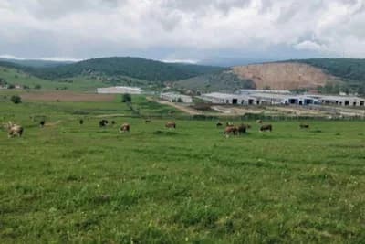 Obnovljena Farma krava Romanija oživljava stočarstvo ovog kraja